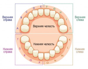 Схема нумерации молочных зубов